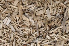 biomass boilers Llanpumsaint